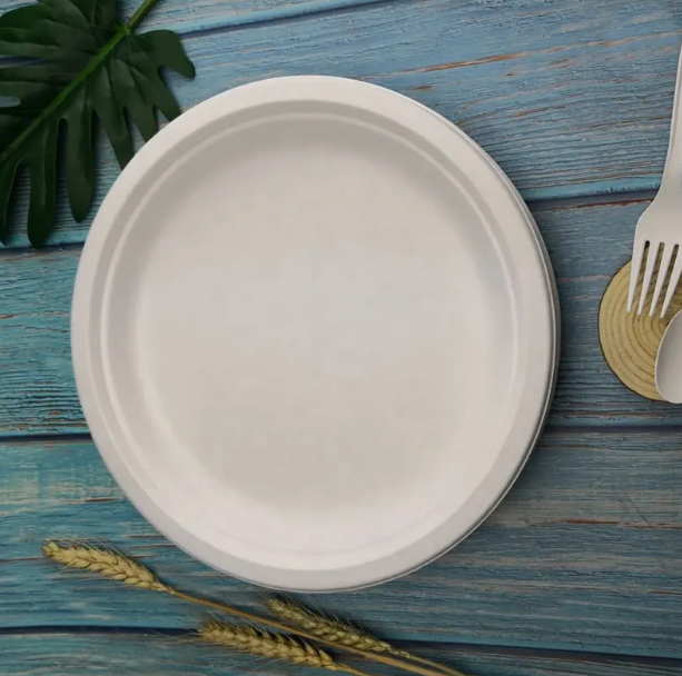 food container Plate