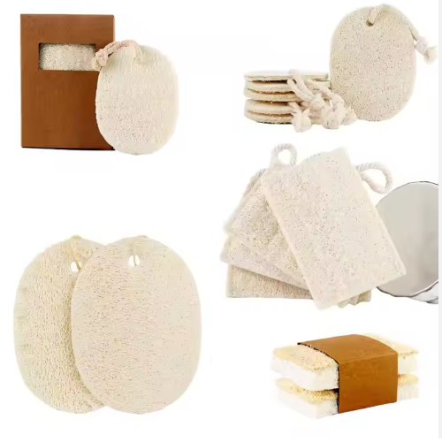 cleaning brush Kitchen