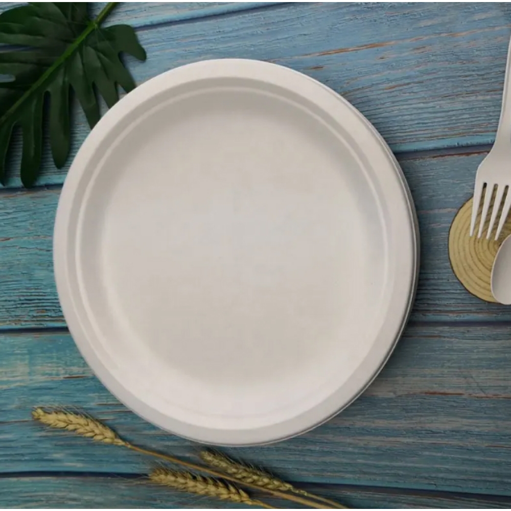 food container Plate