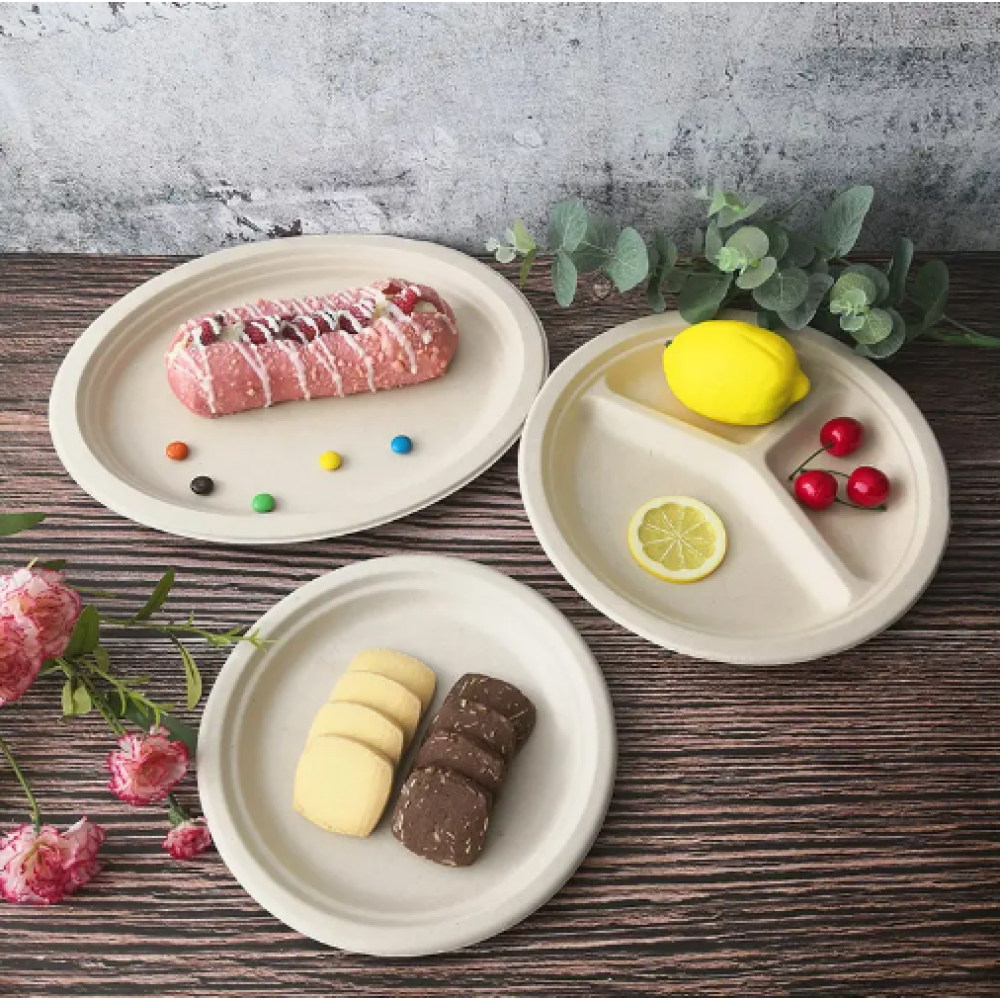 food container Plate