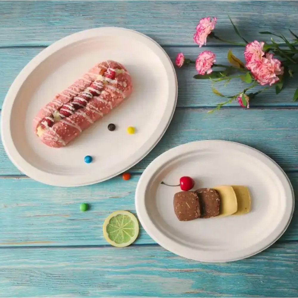 food container Plate