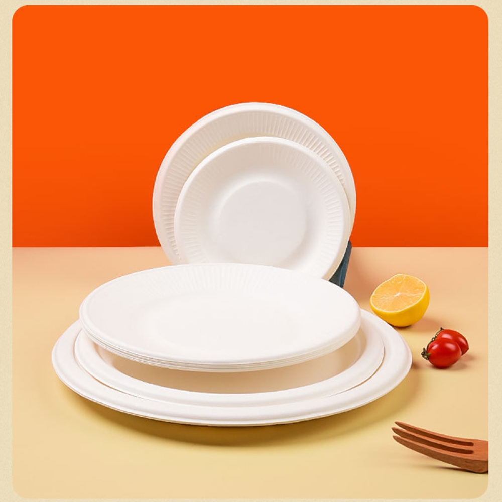 food container Plate