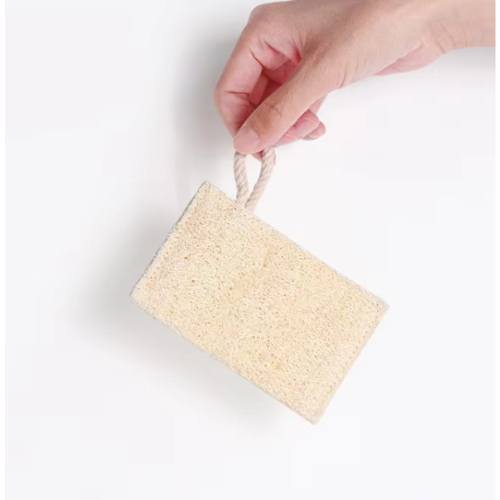 Cleaning brush sponge pad